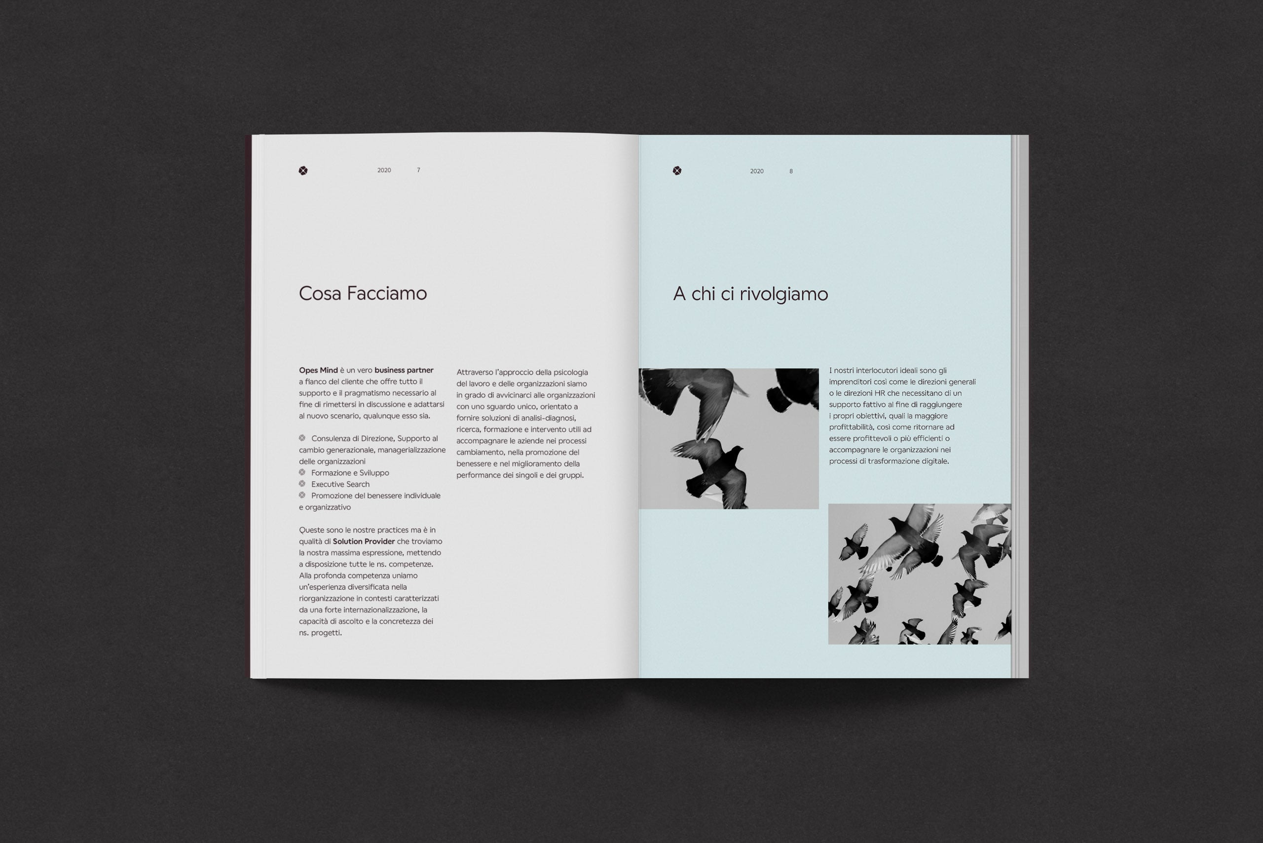 Opes Mind Brochure 01